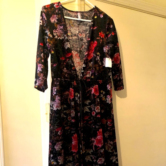 Duster - Picture 2 of 2